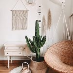 green cactus plant in room