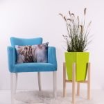 Colorful living room decor