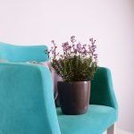 Colorful living room decor