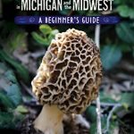 Edible Mushrooms in Michigan: A Beginner's Guide