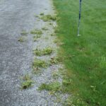 How-To: DIY Weed Removal Tool - Make: