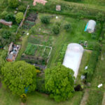 Backyard Greenhouse Inspirations: Transform Your Outdoor Space