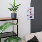 Living Room Plant Ideas: Transform Your Space with Greenery