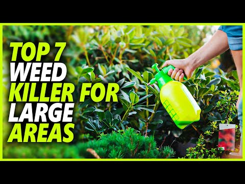 Top 7 Best Weed Killer For Large Areas That Won't Kill Grass