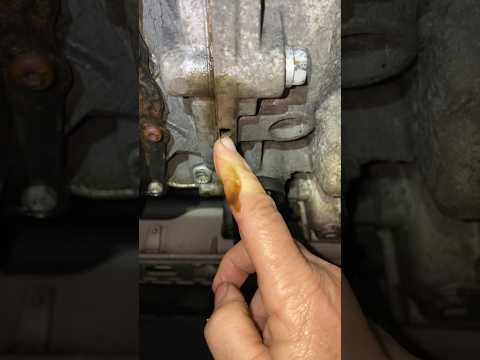 Locating rear main seal leak in vehicle engine
