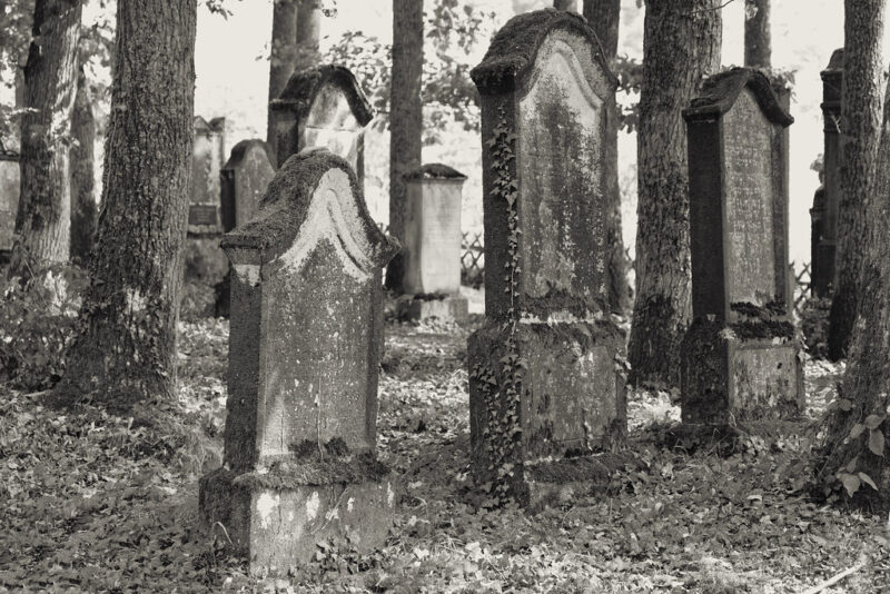 Historic Cemetery Tombstones Trees