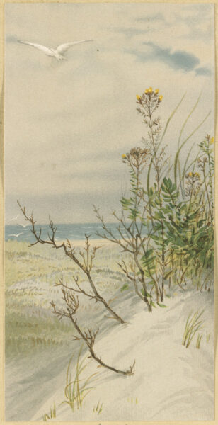 On the Jersey Shore Coast, Ocean scenery
