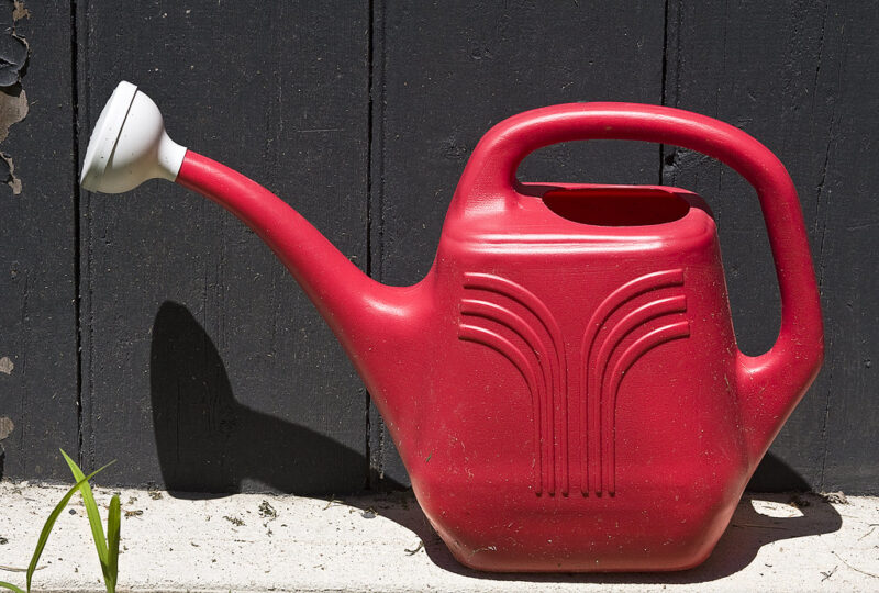 Watering can, gardening tool for Dreamlight Valley