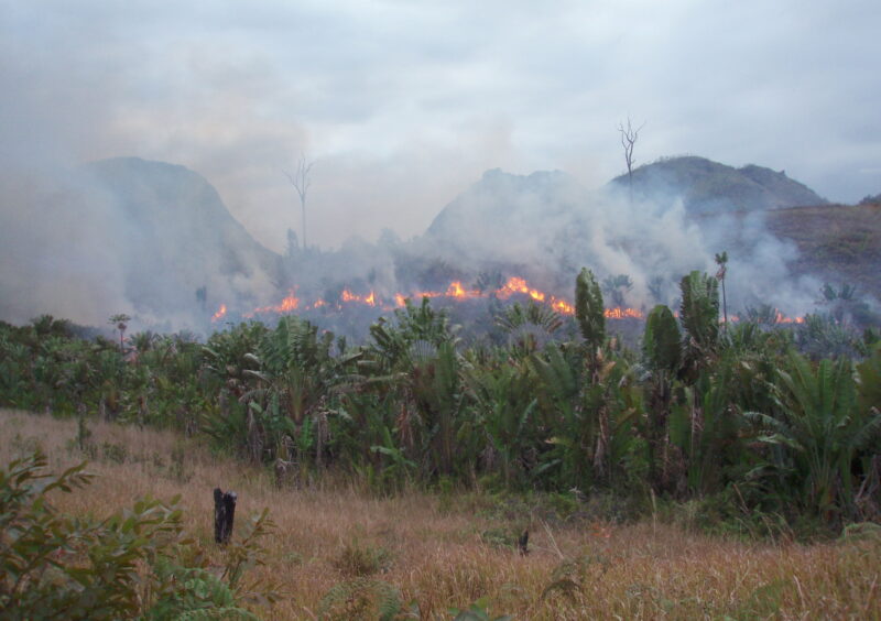 Manantenina bushfire scene Wildfire filming location