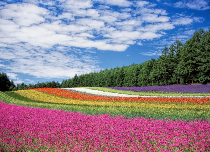 Blue sky and landscape - Hokkaido, Japan