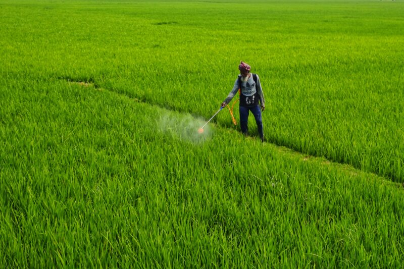 farmer spraying pesticides in green field for weed control