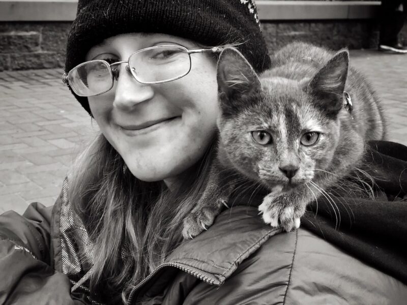 City Kitty