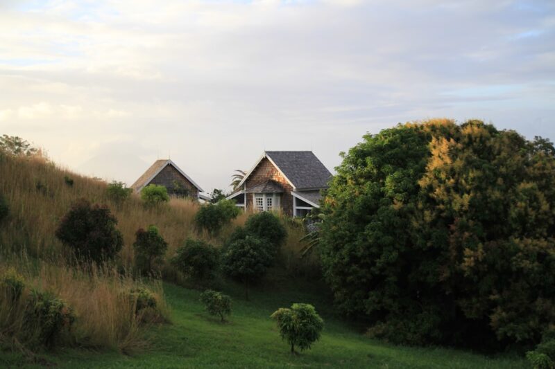 house near trees and green field, representing a cottage farm setting