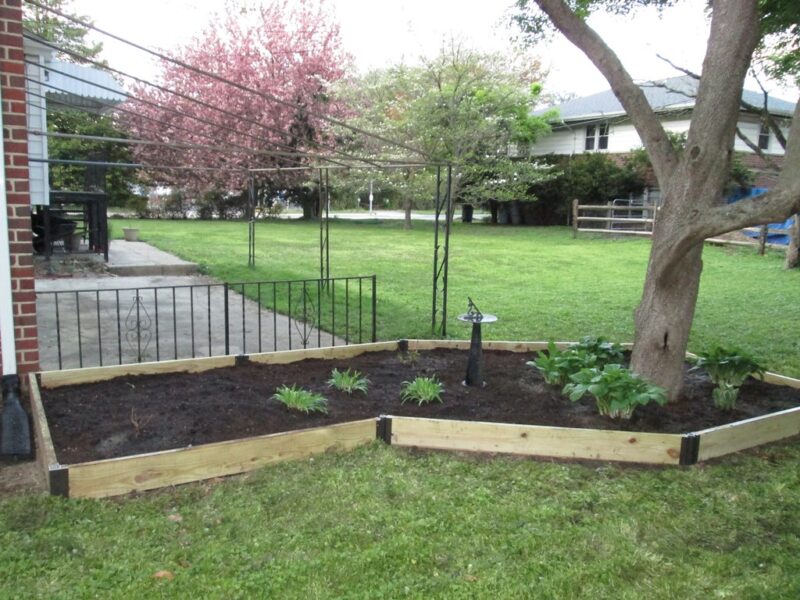 Raised bed garden with various plants ready for planting.