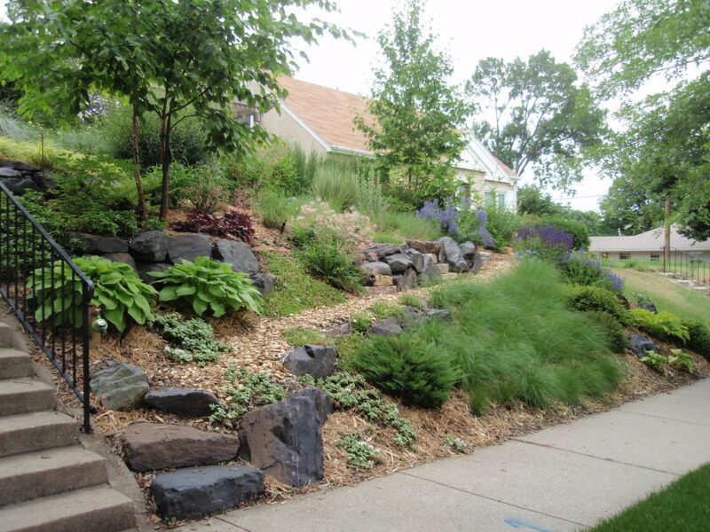 Front slope solution featuring hostas and stonework.