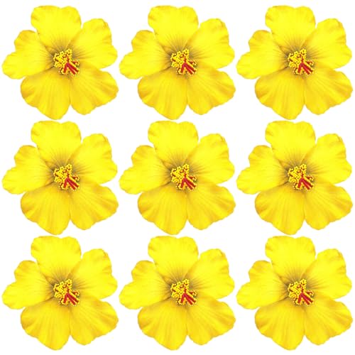 Arvintas Hibiscus Flowers