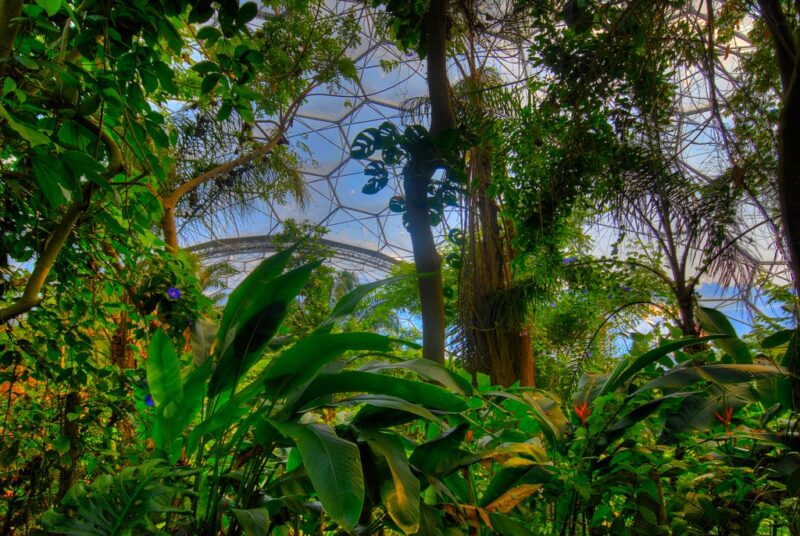 Modern Garden of Eden