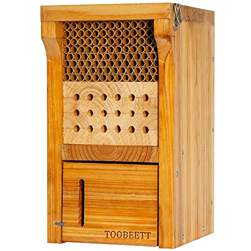 TOOBEETT Mason Bee House