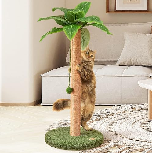 Meowoou Cat Scratching Post with Hanging Ball