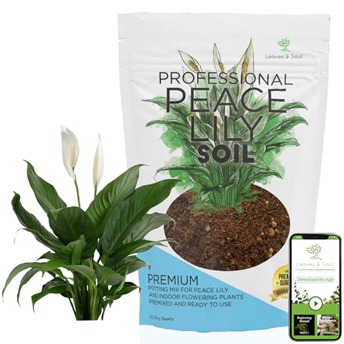 Professional Peace Lily Soil