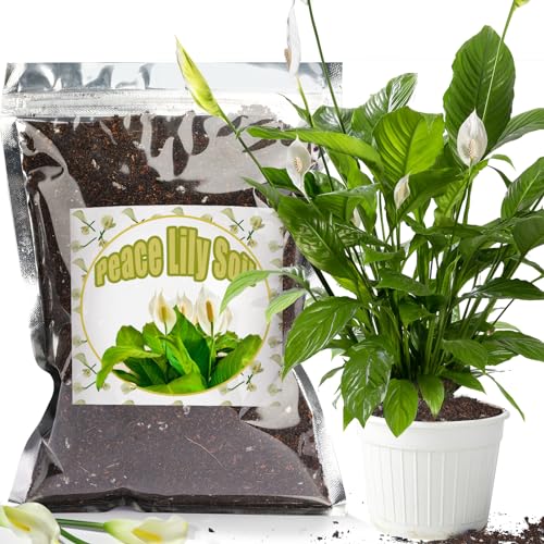 Doter Organic Peace Lily Soil Mix 2qt