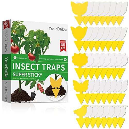 YourDaDa Yellow Sticky Traps