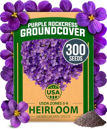 HOME GROWN Aubrieta Rock Cress Purple