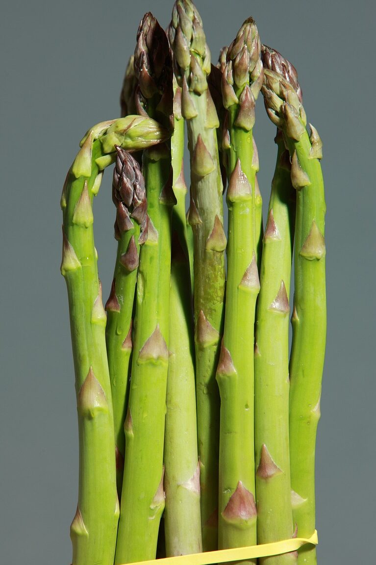 Asparagus
