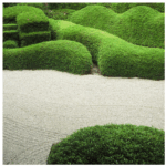 Pruning Azaleas: The Complete Guide to Healthy Blooms