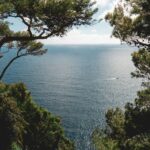 Mediterranean