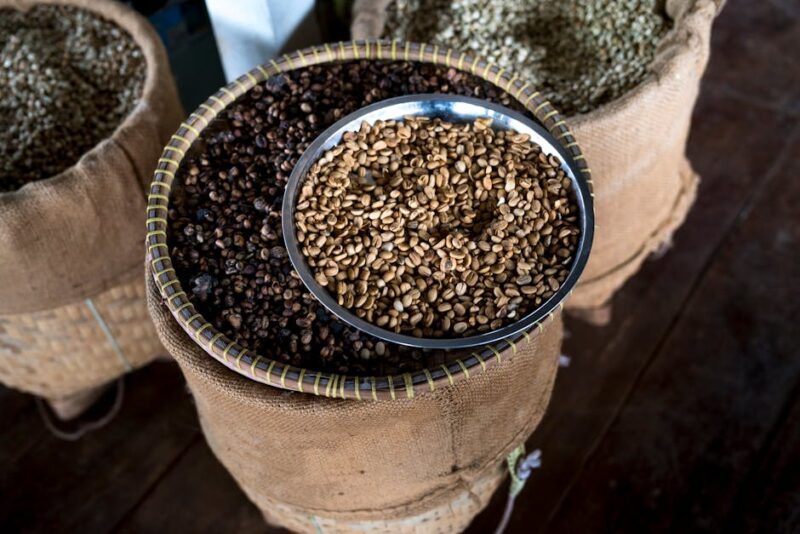 Using coffee grounds in gardens