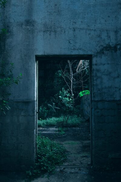 A concrete doorway opens to an overgrown garden, revealing a mysterious outdoor space.