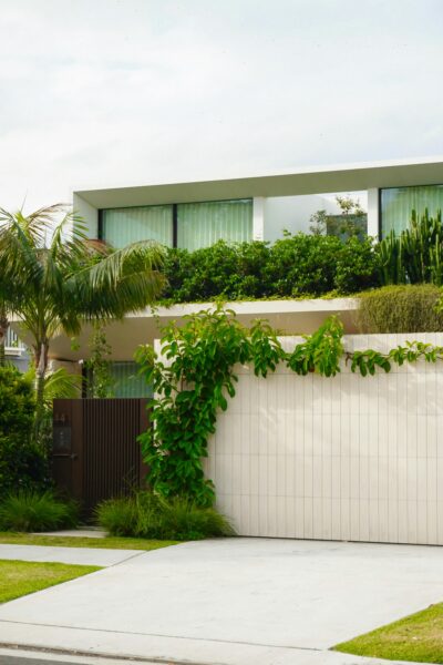 Contemporary home exterior with greenery and palm trees, showcasing modern architecture.