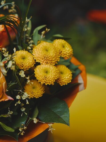 yellow impatiens photo