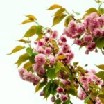 Old House Smell: Causes and Solutions