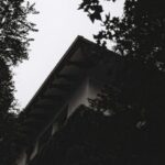 Roof Lines: Exploring Architectural Shapes and Styles
