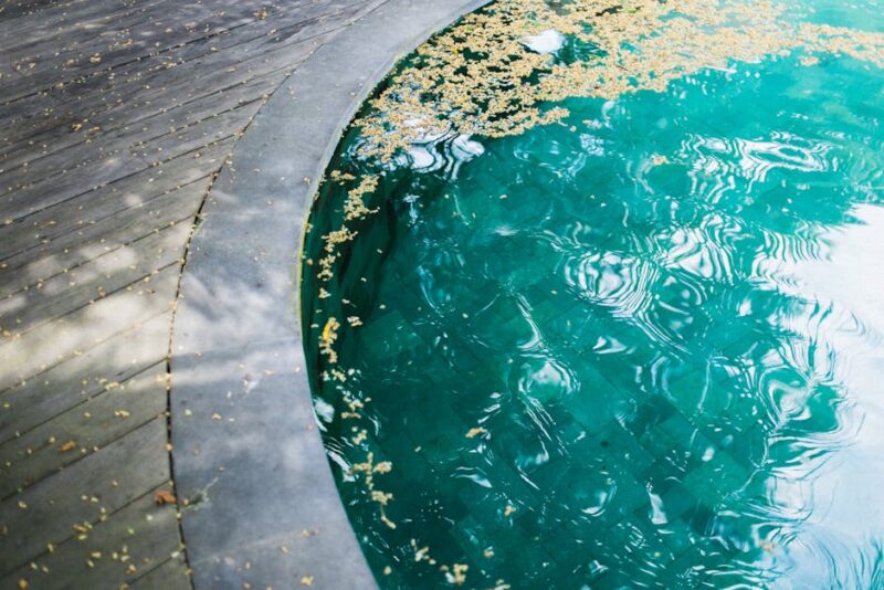 Calm tropical pool with leaves floating on turquoise water and wooden decking