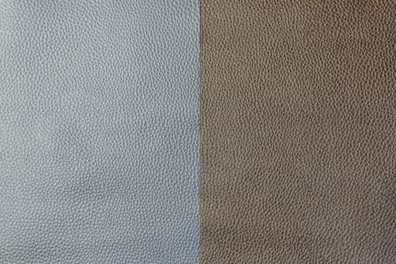 repose gray interior