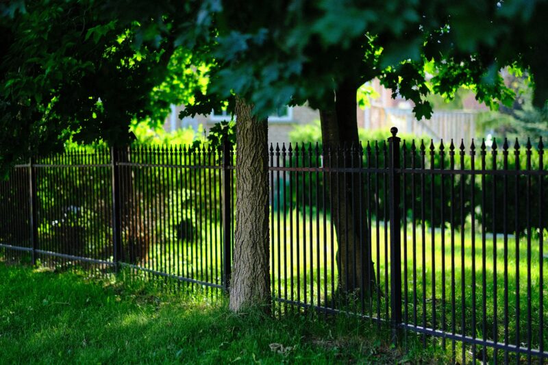 Black metal fence near green trees during daytime