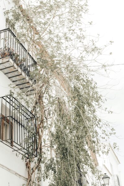 White concrete building near bare trees during daytime