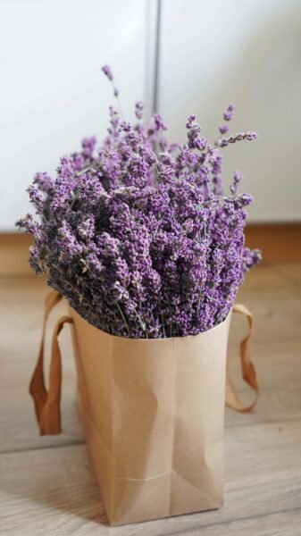 A brown paper bag filled with purple flowers.
