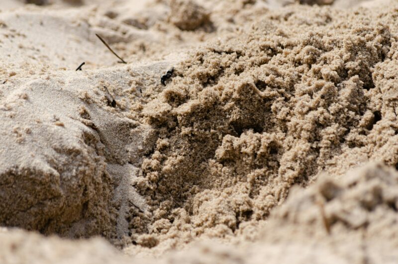 A close up of a pile of sand on a beach