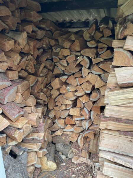 A pile of cut wood