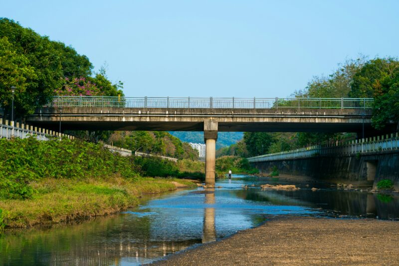 A bridge over a body of water next to a lush green forest