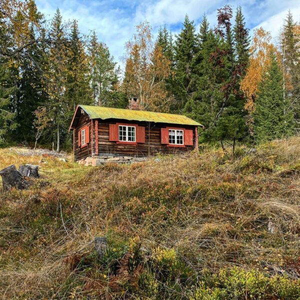 log home exterior photo