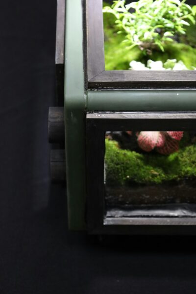 A close up of a window with plants in it