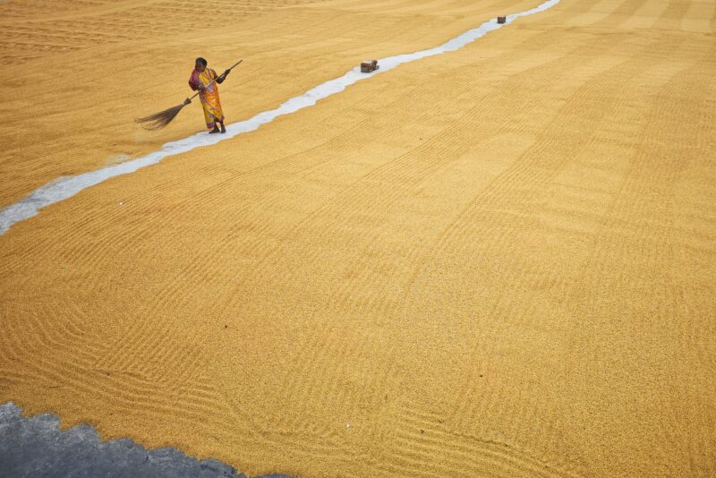 A woman is standing in a field with a broom