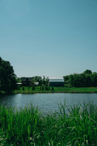 A large body of water surrounded by lush green grass