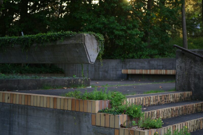 A set of concrete steps with plants growing on them