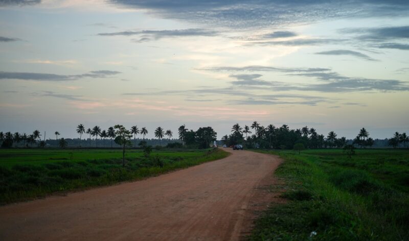A dirt road in the middle of a green field.